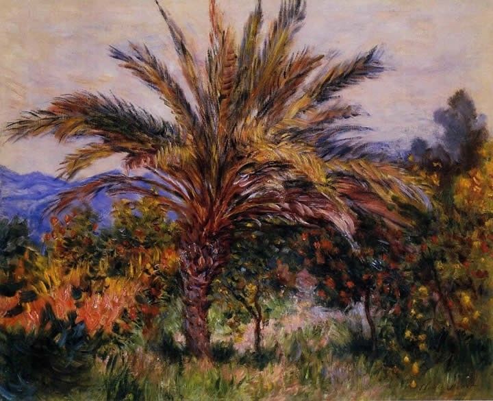 Claude Monet A Palm Tree at Bordighera